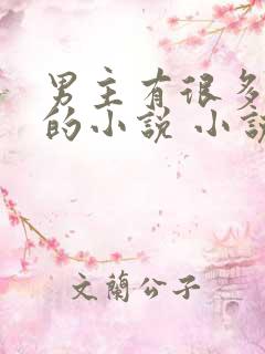 男主有很多女人的小说 小说