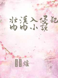 壮汉入侵犯男男肉肉小说