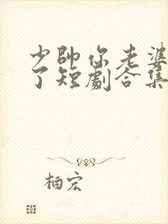 少帅你老婆又跑了短剧合集