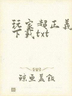 玩家超正义全本下载txt