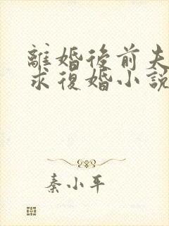 离婚后前夫哭着求复婚小说免费版