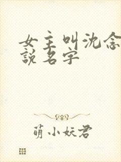 女主叫沈念的小说名字