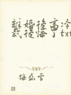 离婚后高冷女总裁后悔了txt下载