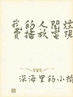 我的人间烟火免费播放电视剧