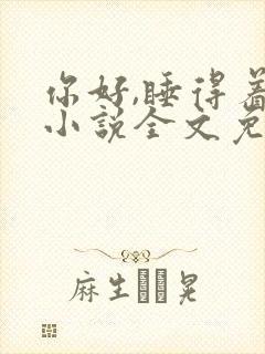 你好,睡得着吗小说全文免费阅读