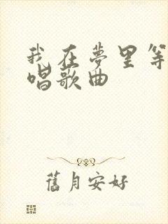 我在梦里等你原唱歌曲