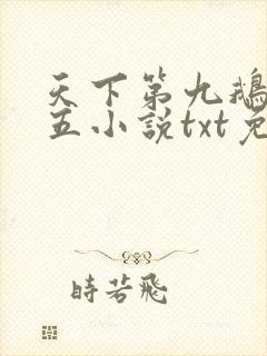 天下第九鹅是老五小说txt免费