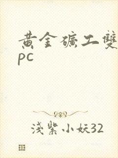 黄金矿工双人版pc