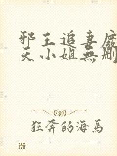 邪王追妻废材逆天小姐无删减