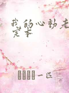 我的心动老板娘完本