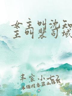 女主叫沈知意男主叫裴司域的小说