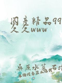 国产精品99久久久www