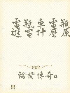 电瓶车电瓶充不进电什么原因