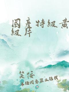 国产特级黄色一级片