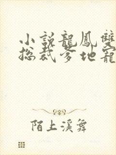 小说龙凤双宝:总裁爹地宠上天