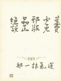 绝品邪少叶潇小说正版免费