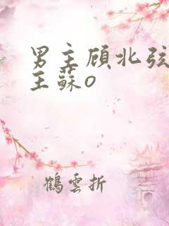 男主顾北弦和女主苏o