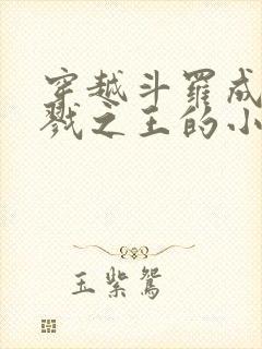 穿越斗罗成为杀戮之王的小说