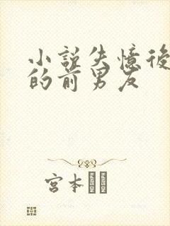 小说失忆后多了的前男友