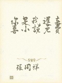 你是我迟来的欢喜小说免费阅读