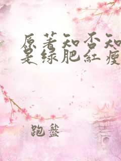 原著知否知否应是绿肥红瘦