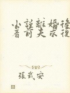 小说离婚后她追着前夫求复合