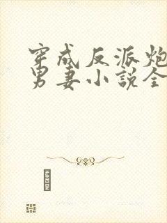 穿成反派炮灰的男妻小说全文阅读