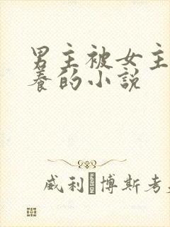 男主被女主家收养的小说