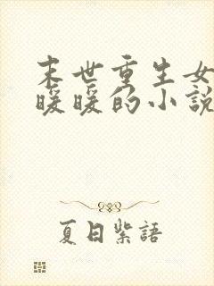 末世重生女主叫暖暖的小说