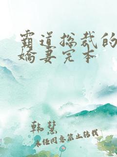 霸道总裁的独宠娇妻完本