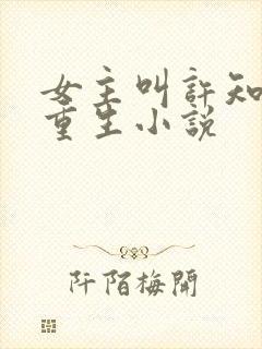 女主叫许知夏的重生小说