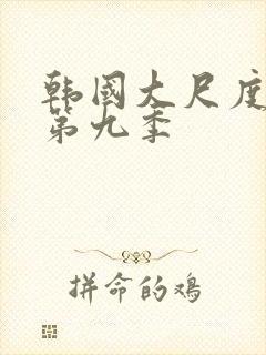 韩国大尺度床戏第九季