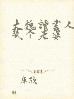 大魏读书人男主几个老婆