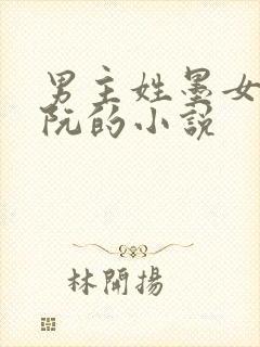 男主姓墨女主姓阮的小说