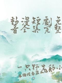 动漫短剧免费观看全集完整版