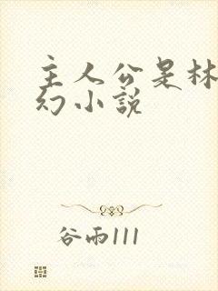 主人公是林天玄幻小说