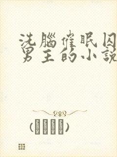 洗脑催眠囚禁双男主的小说