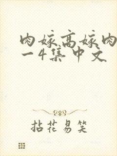 肉嫁高嫁肉柳1一4集中文
