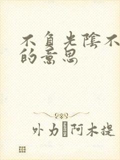 不负光阴不负卿的意思