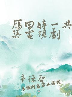 雁回时一共多少集电视剧