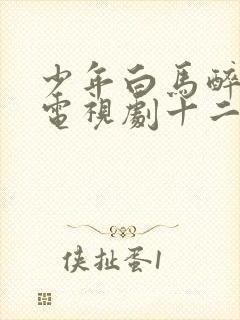 少年白马醉春风电视剧十二十三集