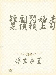 短剧闪婚老公竟是顶头上司大结局