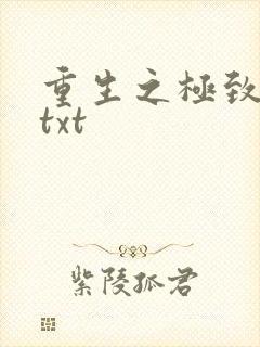 重生之极致宠婚txt