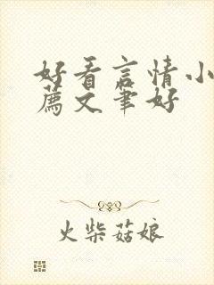 好看言情小说推荐文笔好