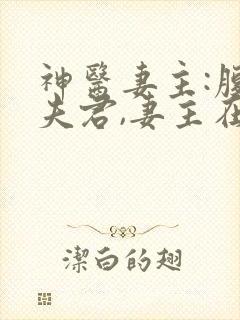 神医妻主:腹黑夫君,妻主在现代