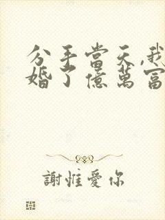 分手当天,我闪婚了亿万富豪全