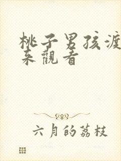 桃子男孩渡海而来观看