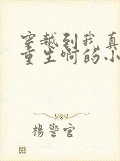 穿越到我真没想重生啊的小说