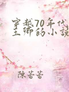 穿越70年代苏玉卿的小说
