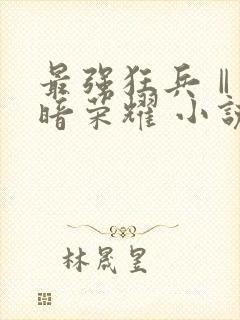 最强狂兵Ⅱ:黑暗荣耀 小说阅读